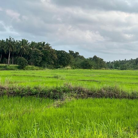 Green Haven Holiday Home Anuradhapura Exterior foto