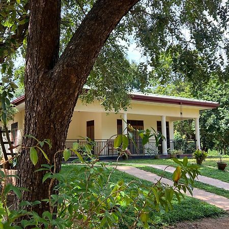 Green Haven Holiday Home Anuradhapura Exterior foto