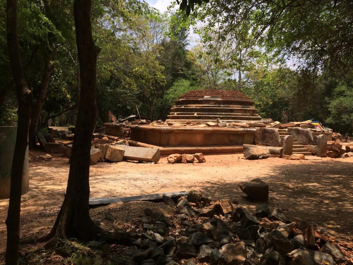 Green Haven Holiday Home Anuradhapura Exterior foto