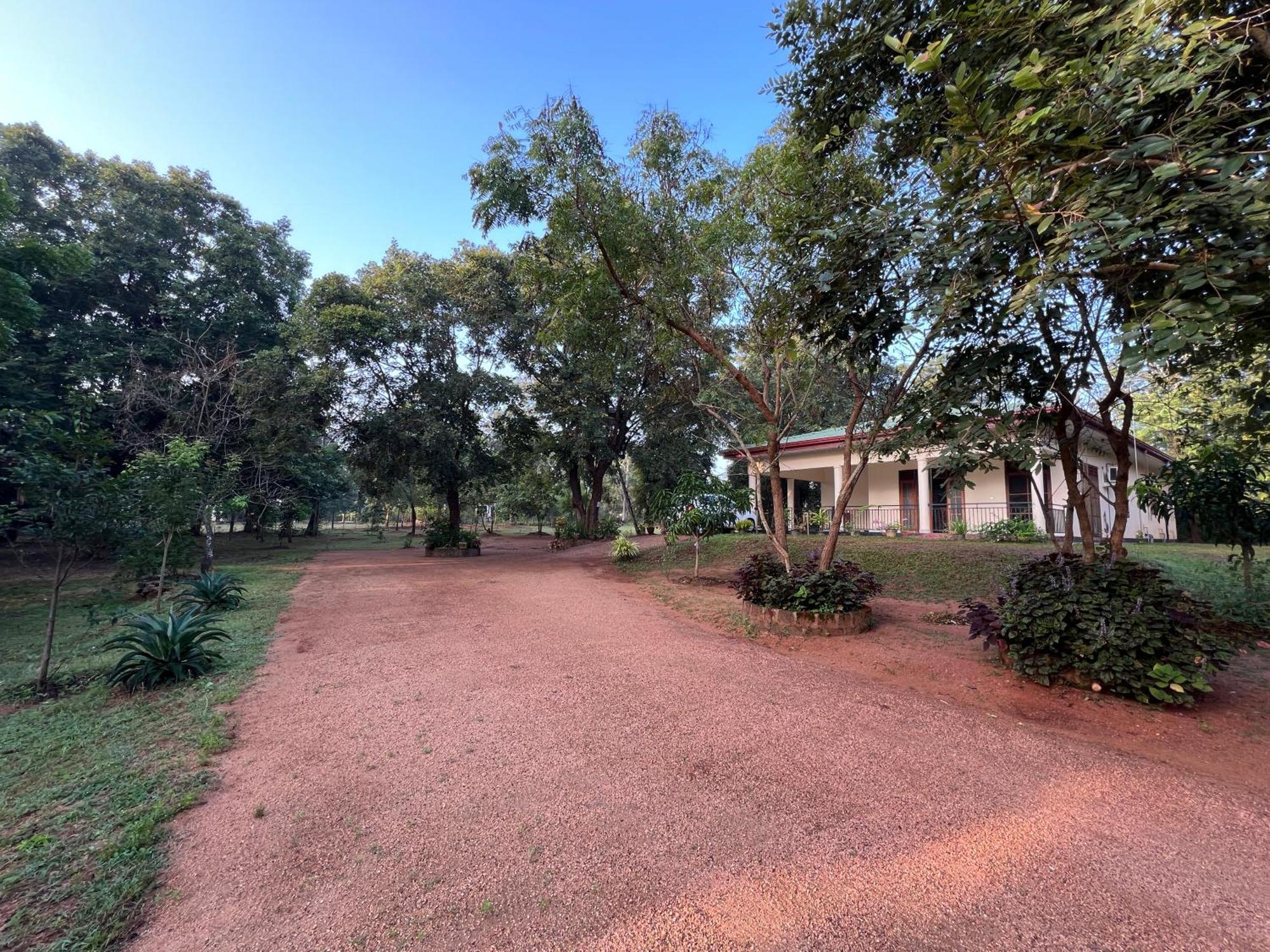 Green Haven Holiday Home Anuradhapura Exterior foto