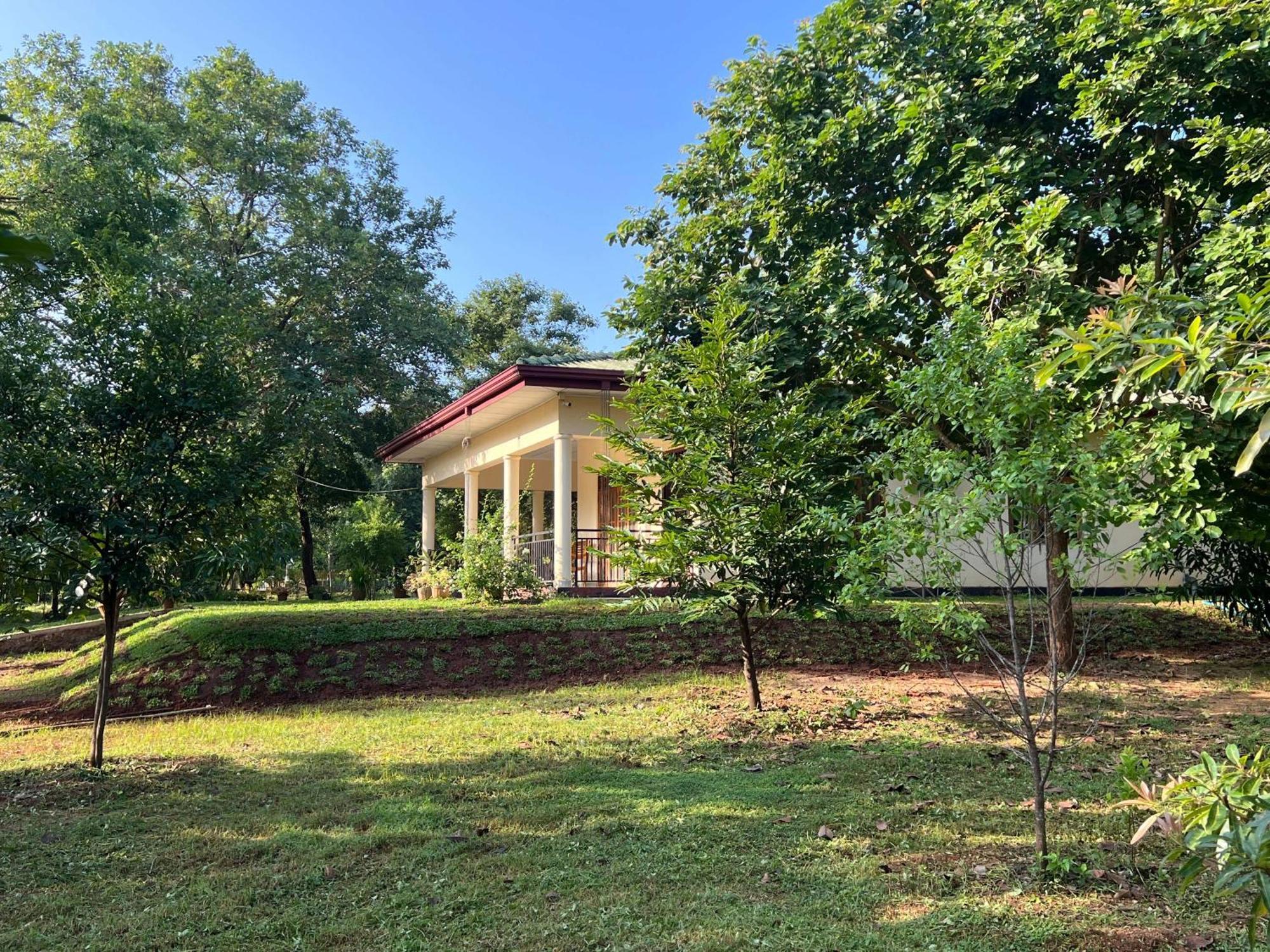 Green Haven Holiday Home Anuradhapura Exterior foto