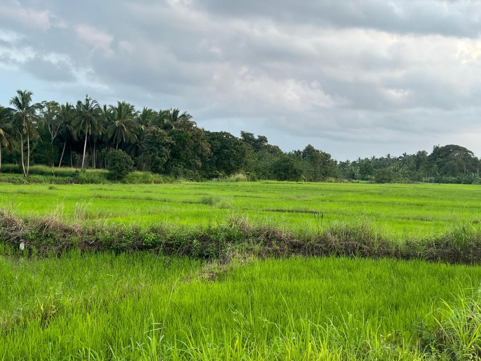 Green Haven Holiday Home Anuradhapura Exterior foto