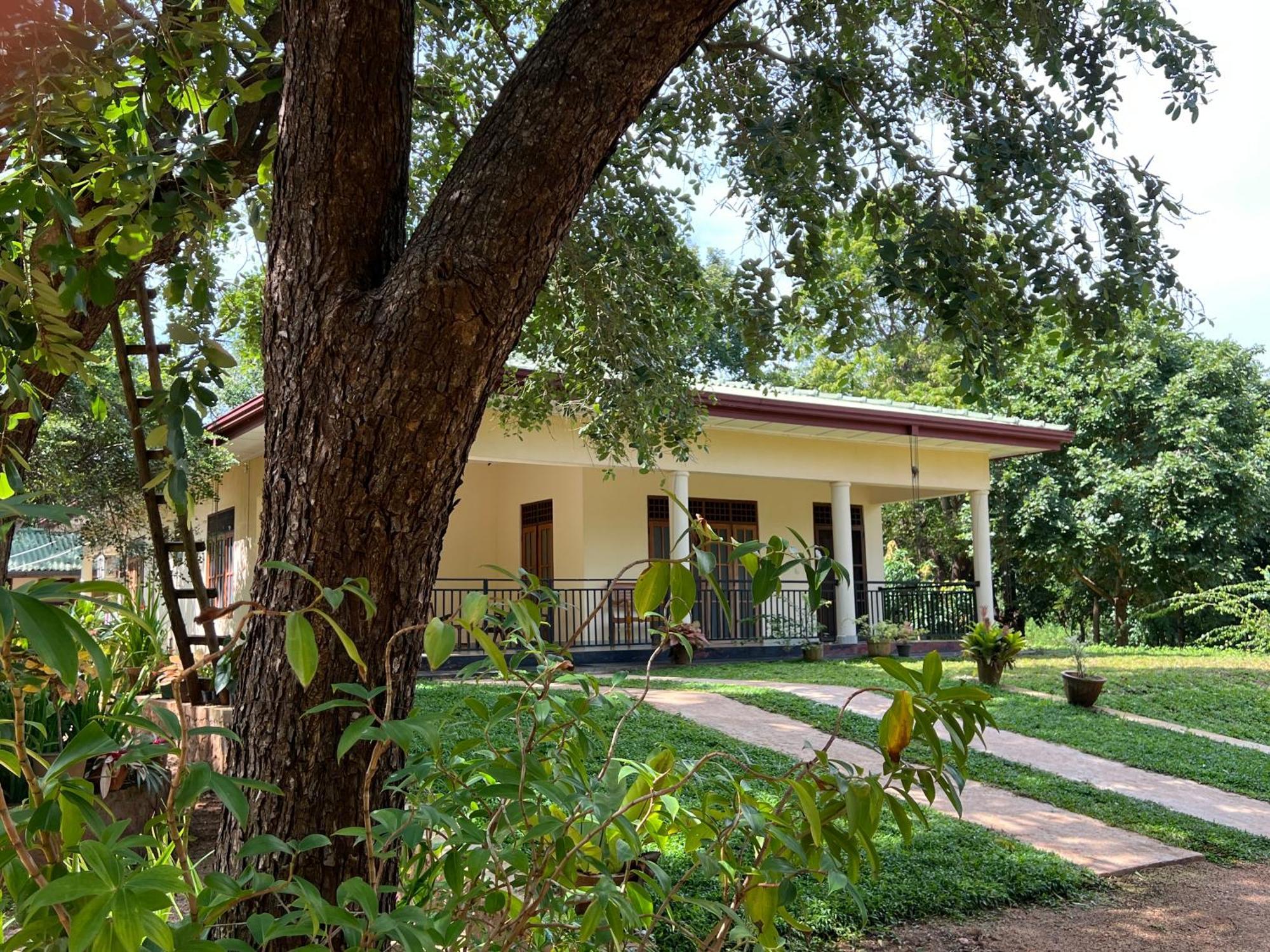 Green Haven Holiday Home Anuradhapura Exterior foto